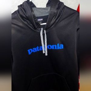 Patagonia Text Logo Hoodie